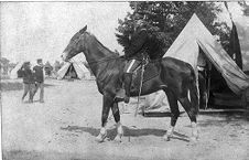 U.S. Army Officer on horseback