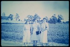 Public health nurses in a field