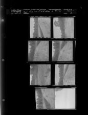 Man in a Field Near a River (8 Negatives) January 9 - 13, 1965 [Sleeve 28, Folder a, Box 35]