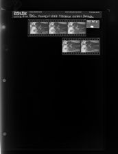 Award of Merit Presented Herbert Bonner (5 Negatives) February 19 - 20, 1965 [Sleeve 70, Folder b, Box 35]