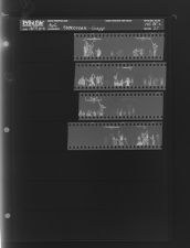 Basketball -- Knapp (12 Negatives) March 10 - 11, 1965 [Sleeve 21, Folder c, Box 35]