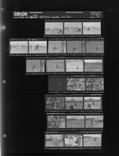 Baseball Game at ECC (24 Negatives) March 22 - 23, 1965 [Sleeve 52, Folder c, Box 35]