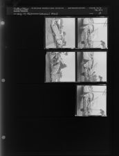 Unusual Wreck (Car) (5 Negatives) (August 10, 1962) [Sleeve 18, Folder b, Box 28]