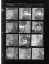 Summertime Saturday Feature (Nature scenes-Street scenes) (12 Negatives), August 17-18, 1962 [Sleeve 39, Folder b, Box 28]