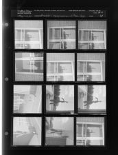 Pranksters Hang Scarecrow at Rose (12 Negatives) (August 28, 1962) [Sleeve 64, Folder b, Box 28]