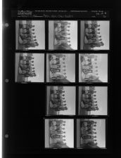 Rose High Cheerleaders (10 Negatives) (August 31, 1962) [Sleeve 76, Folder b, Box 28]