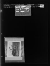 New Bern Freight Train Derailment (1 Negative) (October 4, 1962) [Sleeve 5, Folder d, Box 28]
