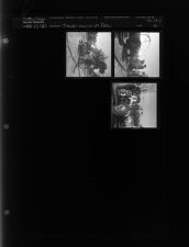 Tractor Caught on Fire (3 Negatives) (October 11, 1962) [Sleeve 42, Folder d, Box 28]