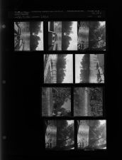 Lake (9 Negatives) (October 13, 1962) [Sleeve 44, Folder d, Box 28]