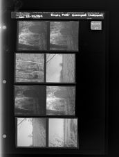 Graveyard (4 Negatives) (November 24, 1962) [Sleeve 57, Folder e, Box 28]