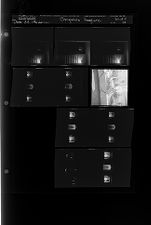 Christmas Feature (10 Negatives) (December 24, 1962) [Sleeve 55, Folder f, Box 28]