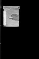 Unknown Man (1 Negative (January 13, 1960) [Sleeve 27, Folder a, Box 23]