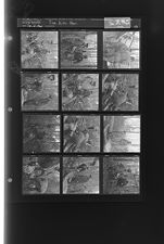Tree Kills Man (12 Negatives (January 21, 1960) [Sleeve 58, Folder a, Box 23]