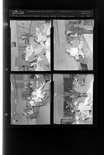 Hank's Saturday Feature on School Libraries (4 Negatives (January 23, 1960) [Sleeve 66, Folder a, Box 23]