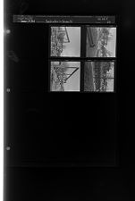 Sleeve 83, Folder a, Box 23
