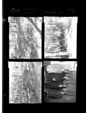 Garden; President Jenkins ECC (February 4, 1960 [Sleeve 14, Folder b, Box 23]