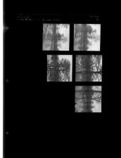 Tar River Rising (5 Negatives (February 8, 1960) [Sleeve 19, Folder b, Box 23]