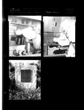 Dan S. & Ann K.; Marker Histories (3 Negatives (February 8, 1960) [Sleeve 21, Folder b, Box 23]