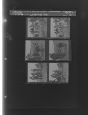 Winterville F.F.A. (6 Negatives) March 2-3, 1960 [Sleeve 10, Folder c, Box 23]