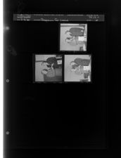 Program for Lucus (3 Negatives (March 5, 1960) [Sleeve 21, Folder c, Box 23]