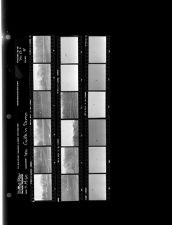 Sea Gulls in Dump (18 Negatives (March 14, 1960) [Sleeve 44, Folder c, Box 23]