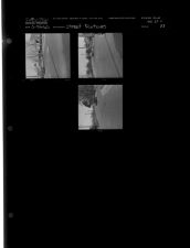 Street Pictures (3 Negatives (March 25, 1960) [Sleeve 83, Folder c, Box 23]