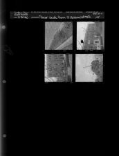 Flower Buds from J. Duncan Column (4 Negatives (March 31, 1960) [Sleeve 104, Folder c, Box 23]