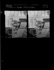 Easter lilies feature (2 Negatives (April 14, 1960) [Sleeve 56, Folder d, Box 23]