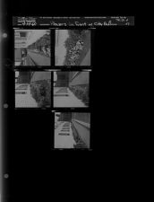 Flowers in front of city hall (5 Negatives (April 14, 1960) [Sleeve 57, Folder d, Box 23]