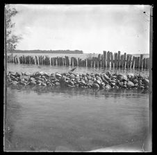 View from the causeway, Hertford, North Carolina