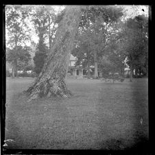 View through the trees of Bayside Plantation house, Pasquotank County, North Carolina