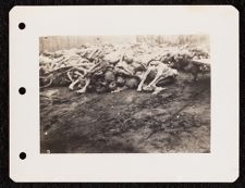 Victims of the Gusen I Concentration Camp near Mauthausen, Austria awaiting burial