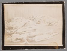 Bodies of victims of the Gusen I Concentration Camp near Mauthausen, Austria piled up