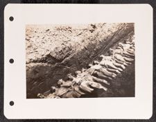 Mass grave at Gusen I Concentration Camp