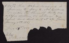 Hardison Family Papers
