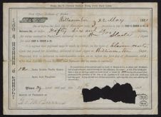 Hardison Family Papers